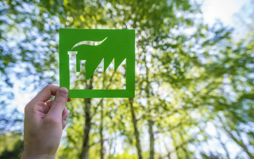 How to Reduce Your Carbon Footprint: Simple Steps for Individuals and Businesses: