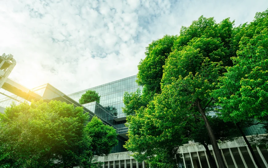 How Green Tech Is Shaping the Future of Environmental Impact: