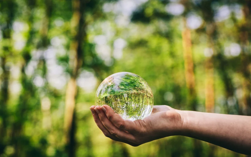 Understanding the Circular Economy: A Path to Sustainable Growth: