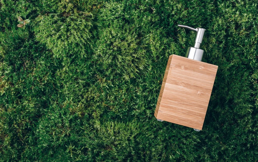 Top Eco-Friendly Products You Should Be Using in 2025: