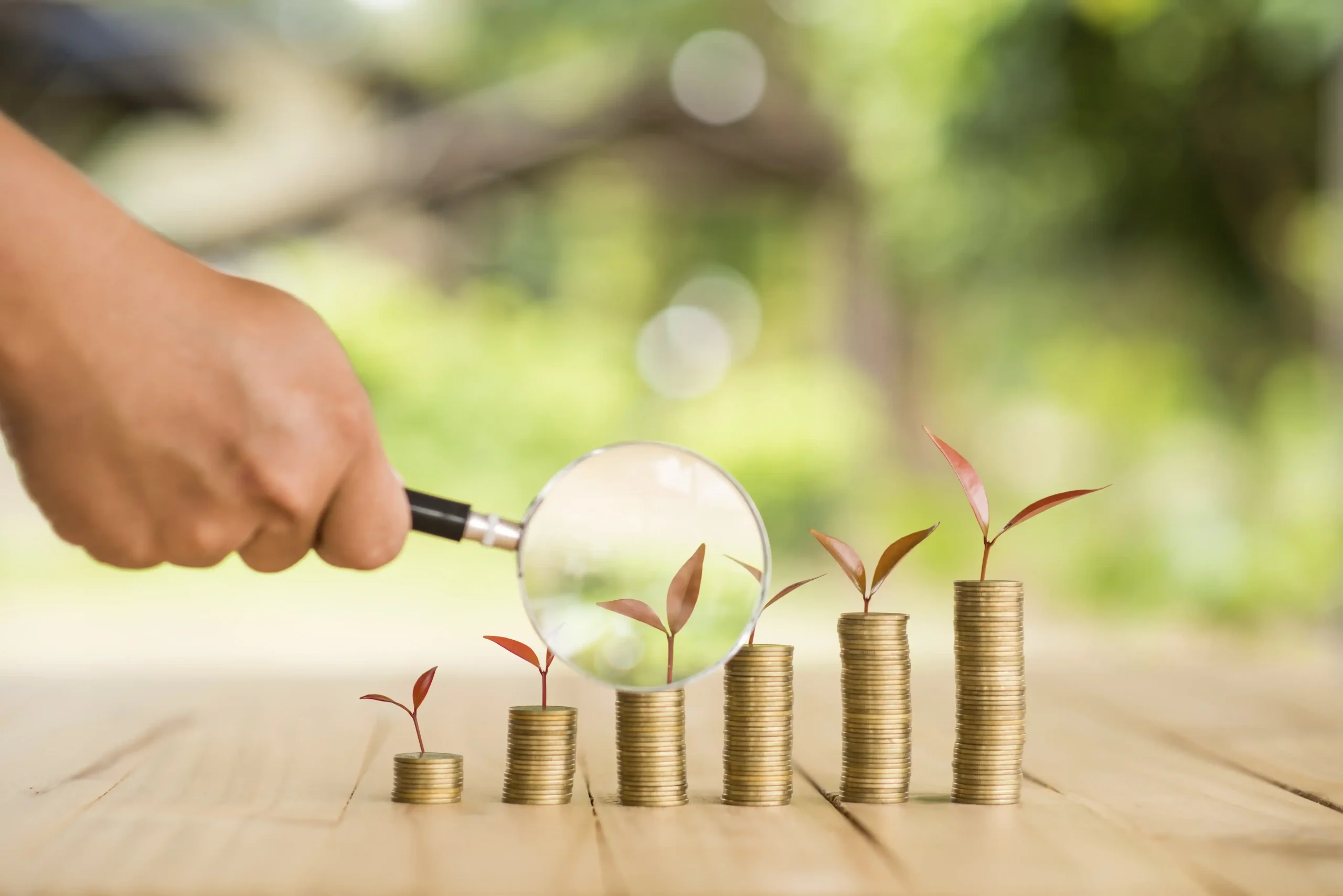Top Investment Strategies to Grow Your Wealth in 2025: